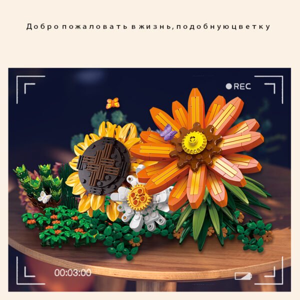 Изображение продукта